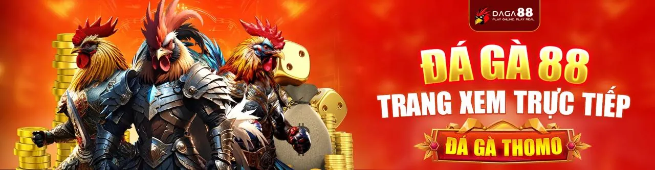 Đá gà trực tuyến 95win với không khí sôi động