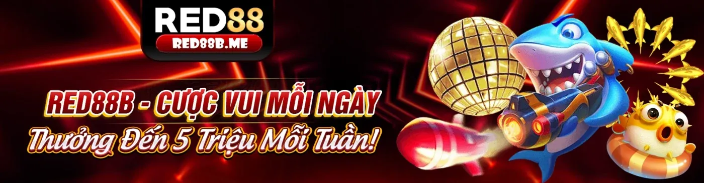 Ứng dụng 95win Login trên điện thoại di động