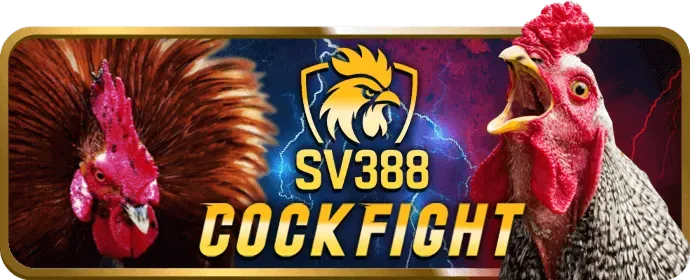 Hệ thống cá cược an toàn và bảo mật 95win